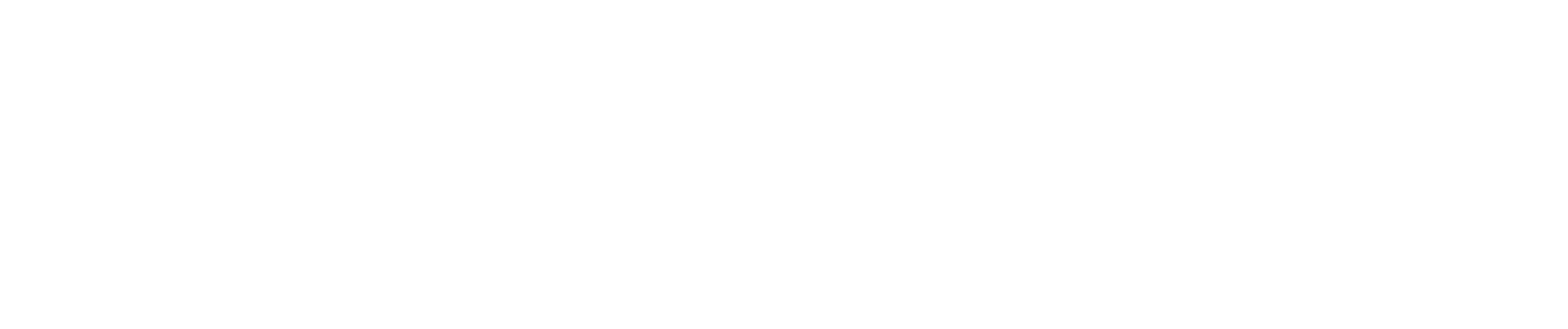 Newline Computers Logo