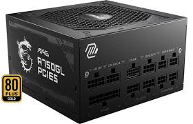 MSI MAG A750GL PCIE5 80 PLUS GOLD PSU 306-7ZP8B18-CE0